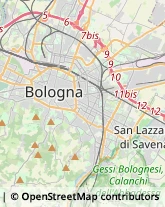 Articoli per Ortopedia San Lazzaro di Savena,40068Bologna