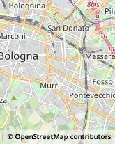 Articoli per Ortopedia Bologna,40138Bologna