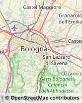 Articoli per Ortopedia Bologna,40123Bologna