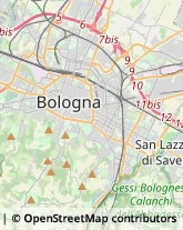 Articoli da Regalo - Dettaglio San Lazzaro di Savena,40068Bologna