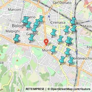 Mappa Via Paolo Costa, 40137 Bologna BO, Italia (1.0895)
