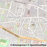 Carte Bologna