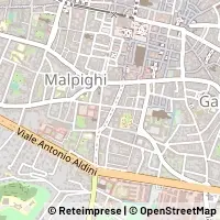 Carte Bologna