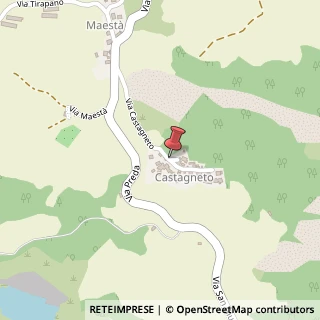 Mappa Via Castagneto,  11, 42030 Baiso, Reggio nell'Emilia (Emilia Romagna)