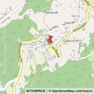 Mappa Via Roma,  17, 43041 Tornolo, Parma (Emilia Romagna)