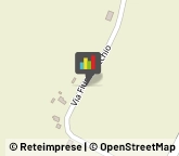 Aziende Agricole,48020Ravenna