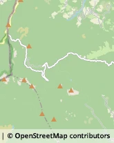 Elettrauto Tornolo,43041Parma