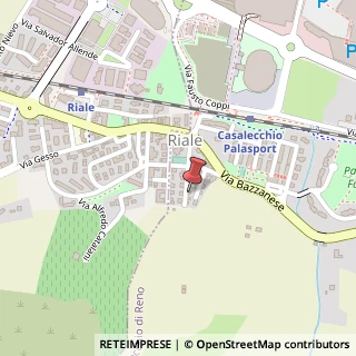 Mappa Via Leoncavallo, 13, 40033 Casalecchio di Reno, Bologna (Emilia Romagna)