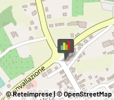 Bestiame - Allevamento e Commercio,12041Cuneo