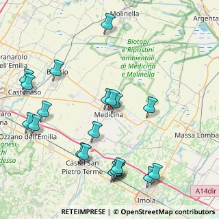 Mappa Via del Canale, 40059 Medicina BO, Italia (9.7945)