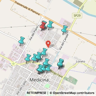 Mappa Via del Canale, 40059 Medicina BO, Italia (0.503)