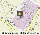 Conserve Castenaso,40055Bologna