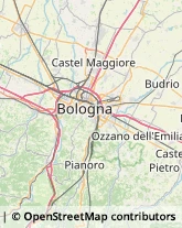 Maniscalchi Medicina,40059Bologna