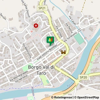 Mappa Viale Vittorio Bottego, 43, 43043 Borgo Val di Taro, Parma (Emilia Romagna)