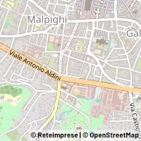 Carte Bologna
