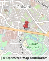 Viale Giovanni Gozzadini, 17,40121Bologna