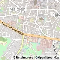 Carte Bologna