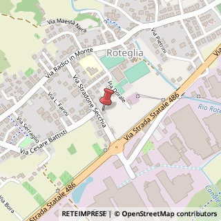 Mappa Via Stradone Secchia, 23, 42014 Castellarano, Reggio nell'Emilia (Emilia Romagna)