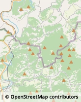 Aziende Agricole Mioglia,17040Savona