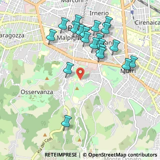 Mappa Istituti Ortopedici Rizzoli, 40136 Bologna BO, Italia (1.0875)