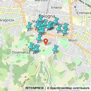 Mappa Istituti Ortopedici Rizzoli, 40136 Bologna BO, Italia (0.7795)