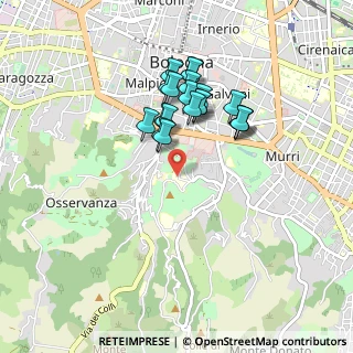 Mappa Istituti Ortopedici Rizzoli, 40136 Bologna BO, Italia (0.7545)