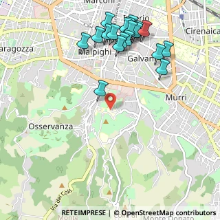Mappa Istituti Ortopedici Rizzoli, 40136 Bologna BO, Italia (1.271)
