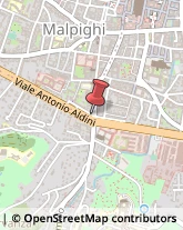 Via Massimo D'Azeglio, 1,40123Bologna