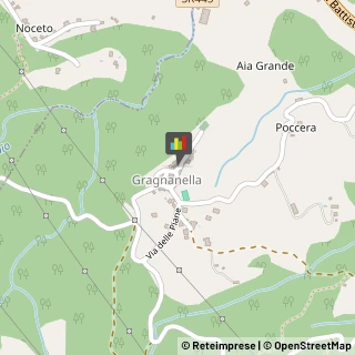 Agriturismi Castelnuovo di Garfagnana,55032Lucca