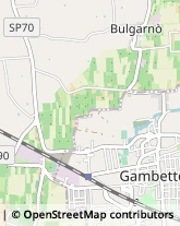 Via Vincenzo Bellini, 13,47035Gambettola