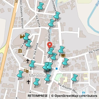 Mappa Via Giacomo Matteotti, 47014 Meldola FC, Italia (0.145)
