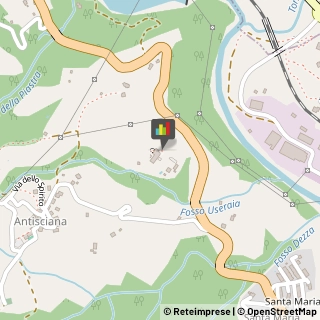 Agriturismi Castelnuovo di Garfagnana,55032Lucca
