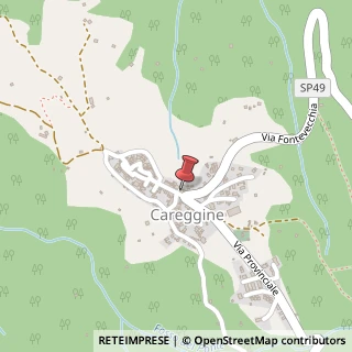 Mappa Via della Carraia, 6, 55030 Careggine LU, Italia, 55030 Careggine, Lucca (Toscana)