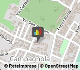 Scuole Pubbliche Campagnola Emilia,42012Reggio nell'Emilia