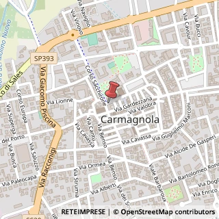 Mappa Piazza Alessandro Manzoni, 17, 10022 Carmagnola, Torino (Piemonte)