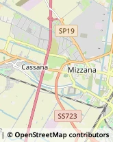 Consulenze Speciali Ferrara,44121Ferrara