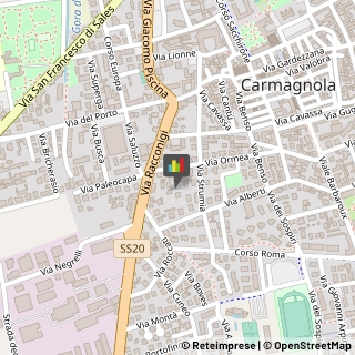 Consulenza Informatica,10022Torino