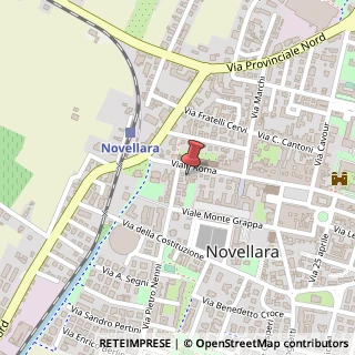 Mappa Viale Roma, 21, 42017 Novellara, Reggio nell'Emilia (Emilia Romagna)