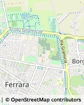 Giardinaggio - Servizio Ferrara,44100Ferrara