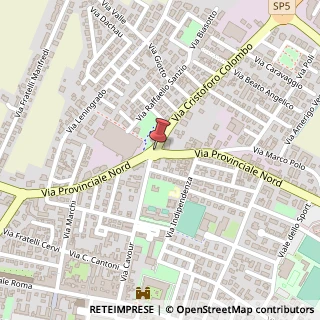 Mappa Via Borgonuovo, 7, 42017 Novellara, Reggio nell'Emilia (Emilia Romagna)