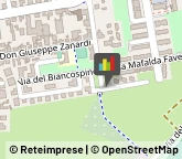 Consulenza Informatica ,44100Ferrara