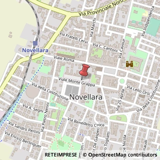 Mappa Viale Monte Grappa, 9, 42017 Novellara, Reggio nell'Emilia (Emilia Romagna)