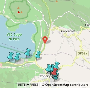 Mappa Strada Provinciale, 01032 Ronciglione VT, Italia (2.87154)