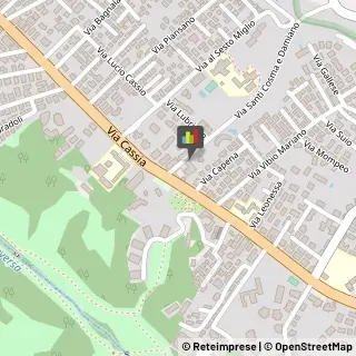 Ostetrici e Ginecologi - Medici Specialisti,00189Roma