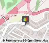 Ottica, Occhiali e Lenti a Contatto - Dettaglio Roma,00135Roma