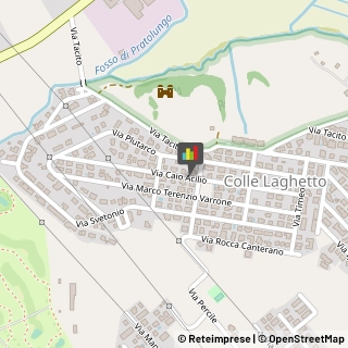 Agopuntura Guidonia Montecelio,00012Roma