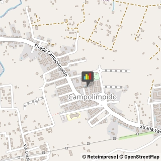 Animali Domestici - Toeletta,00019Roma