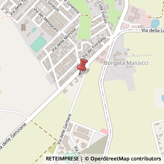 Mappa Via delle Genziane, 9, 00012 Guidonia Montecelio, Roma (Lazio)