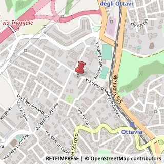 Mappa Via della Stazione di Ottavia, 73, 00135 Roma, Roma (Lazio)
