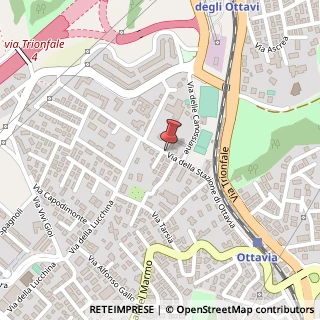 Mappa Via della Stazione di Ottavia, 70, 00135 Roma, Roma (Lazio)